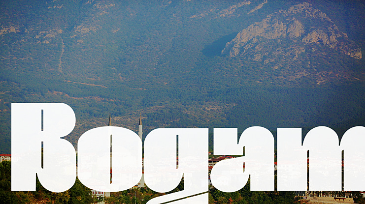 Bogam Font