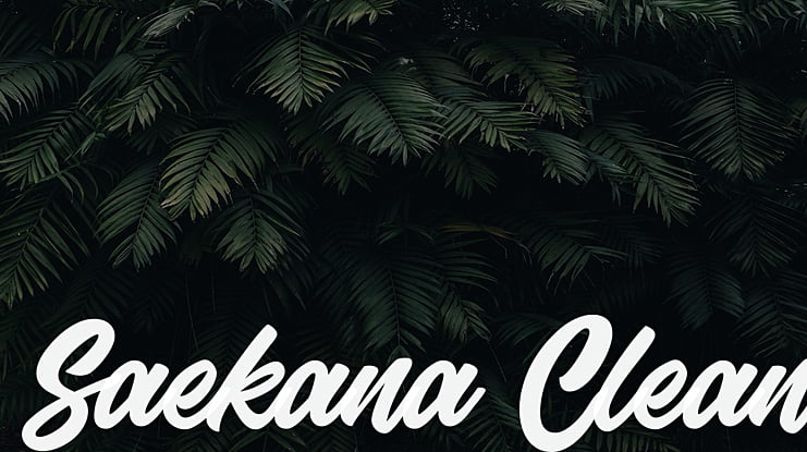 Saekana Clean Font Family
