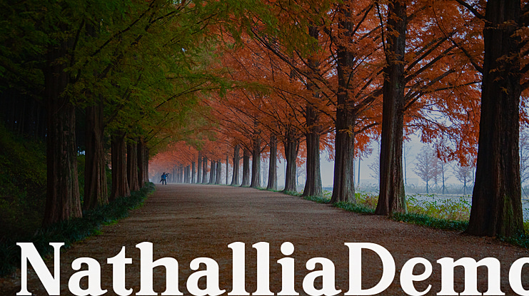 NathalliaDemo Font