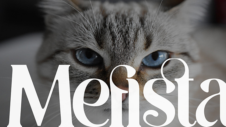 Mefista Font
