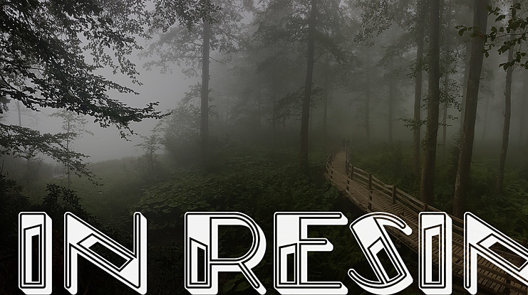 In Resin Font Family