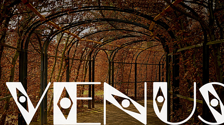 Venus Font Family