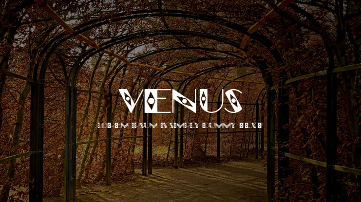 Venus Font Family