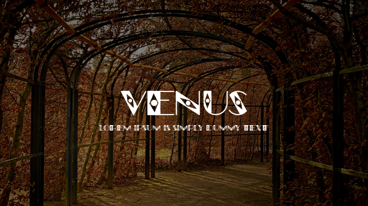 Venus Font Family