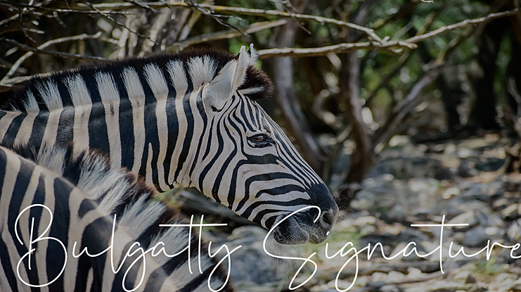 Bulgatty Signature Font