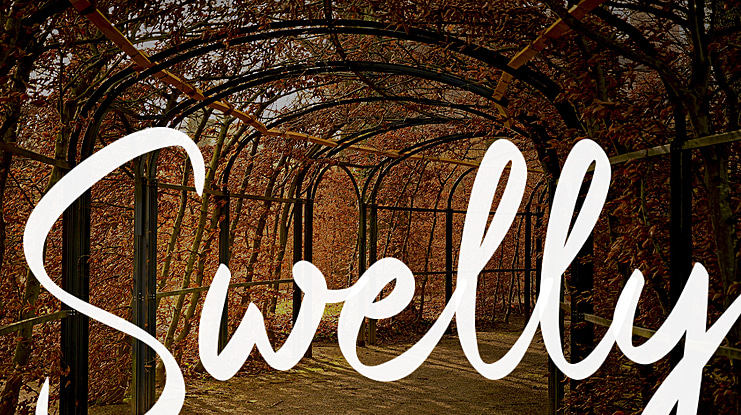 Swelly Font