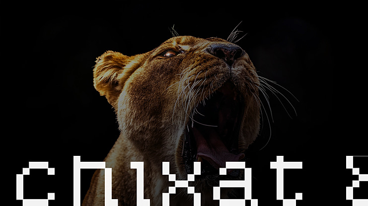 Chixat 8 Font