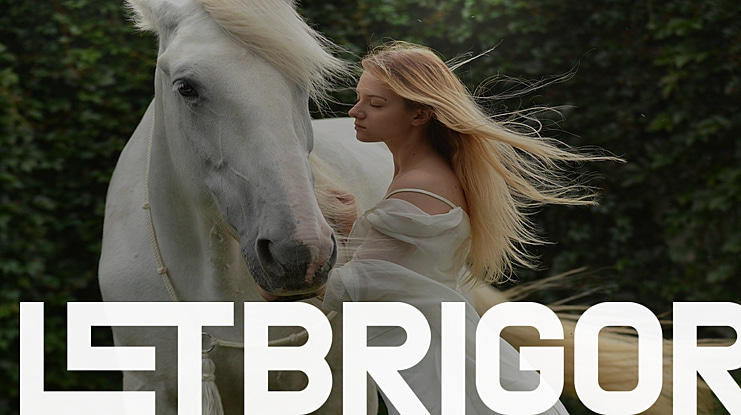 LETBRIGOR Font