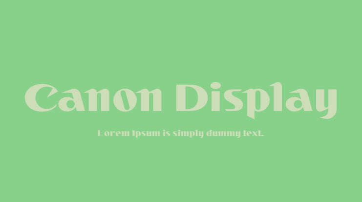 Canon Display Font