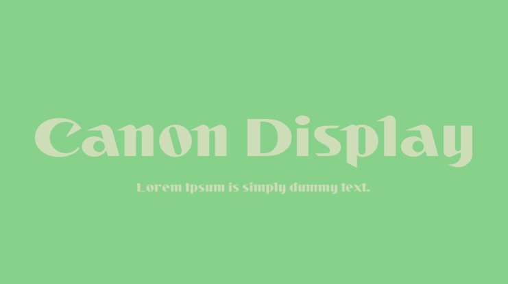 Canon Display Font