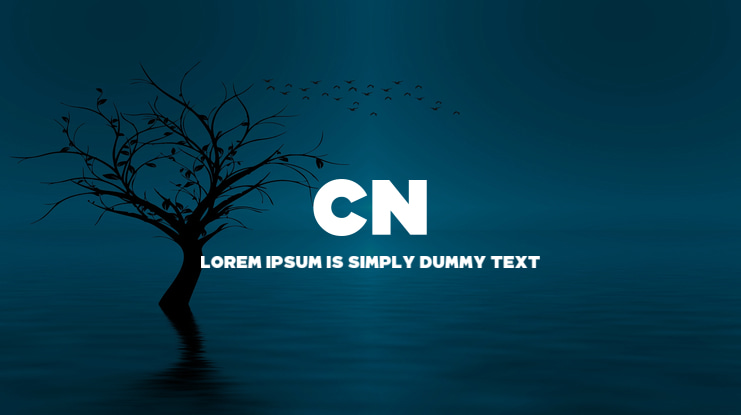 CN 2016 Font