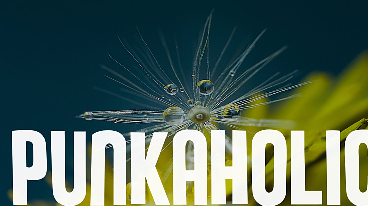 Punkaholic Font Family