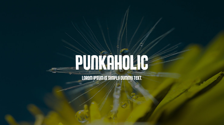 Punkaholic Font Family