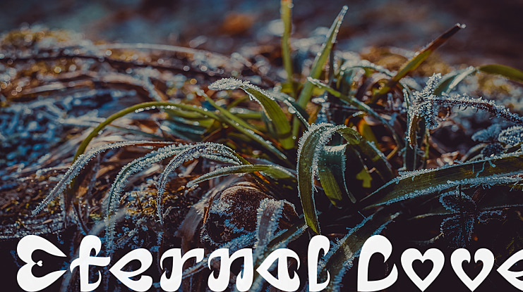 Eternal Love Font Family