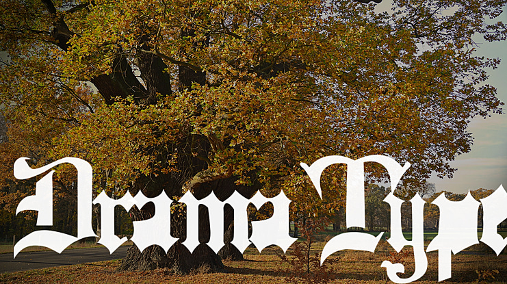 Drama Type Font