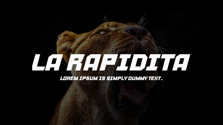 La Rapidita Font
