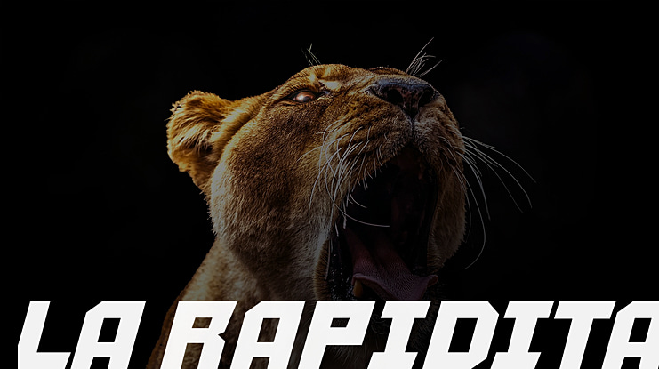 La Rapidita Font