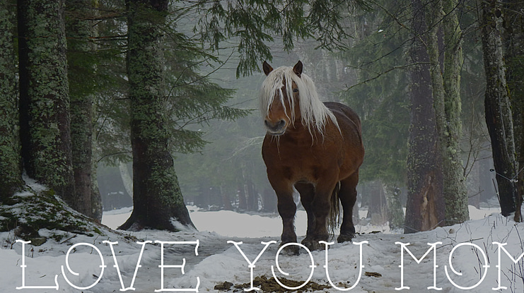 Love you mom Font Family