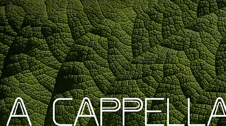 A CAPPELLA Font