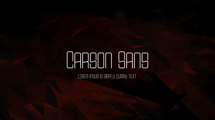 Carson Sans Font
