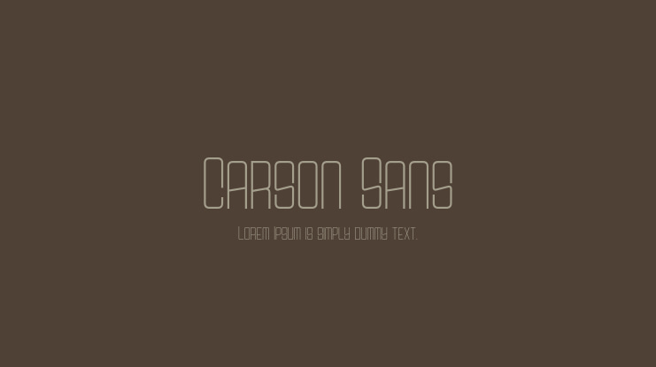 Carson Sans Font