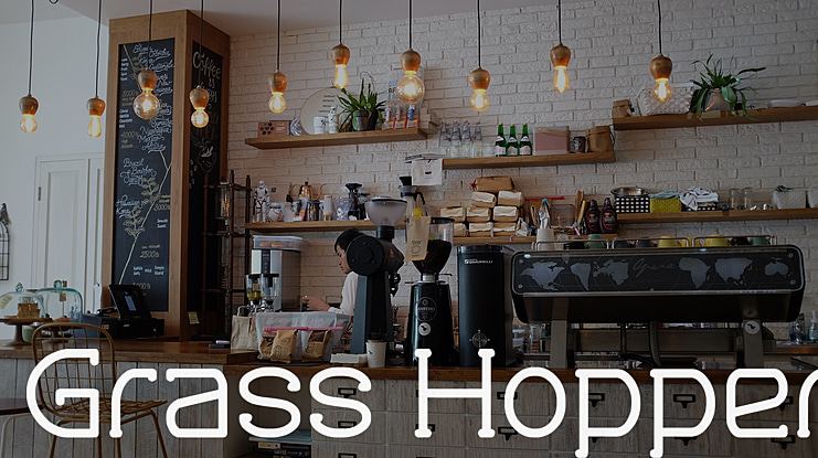 Grass Hopper Font Family