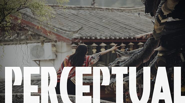 Perceptual Font