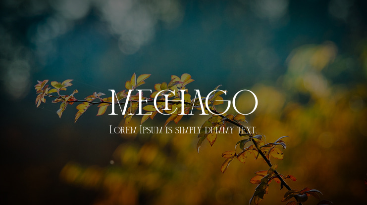 mechago Font