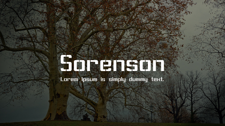 Sorenson Font Family