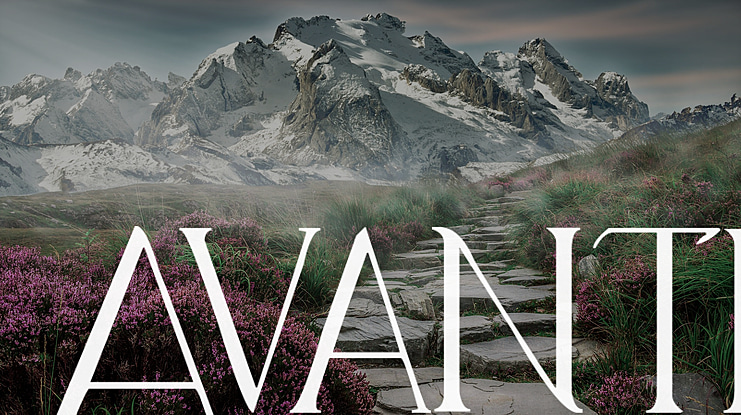 Avanti Font