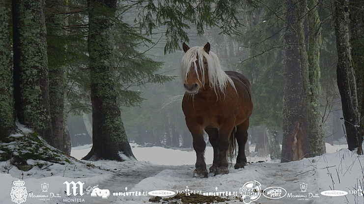 MADE IN SPAIN 3 Font