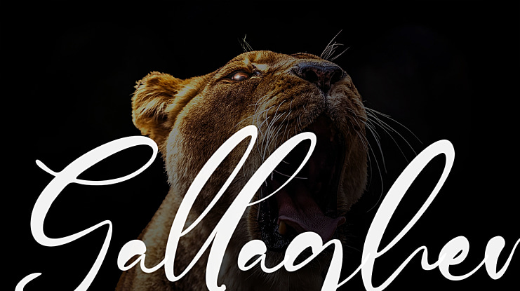 Gallagher Font