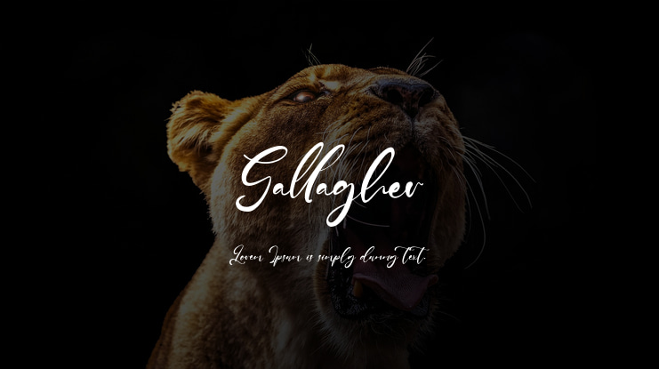 Gallagher Font