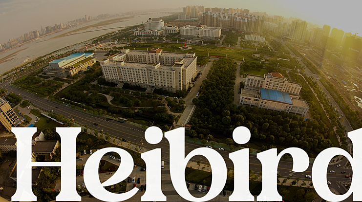 Heibird Font