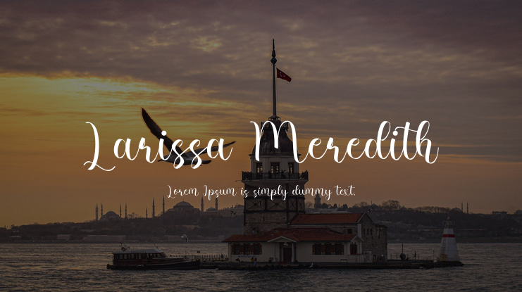 Larissa Meredith Font