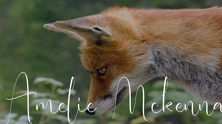 Amelie Mckenna Font