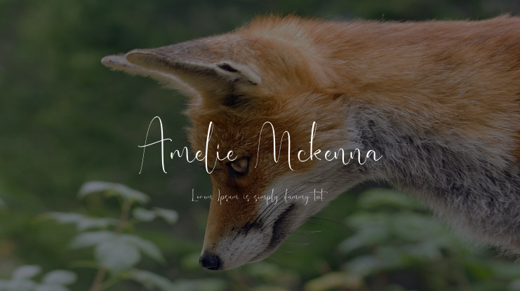 Amelie Mckenna Font