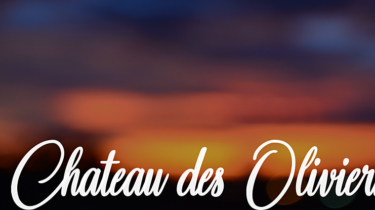 Chateau des Oliviers Font