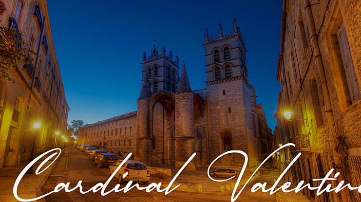 Cardinal Valentino Font