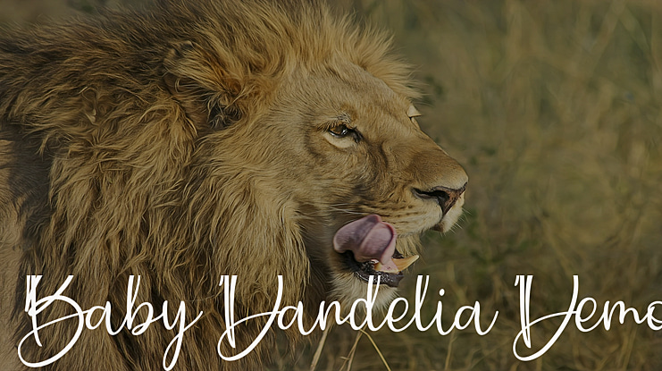 Baby Dandelia Demo Font
