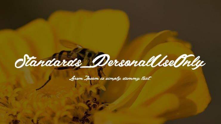 Standards_PersonalUseOnly Font