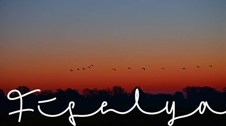 Fiselya Font