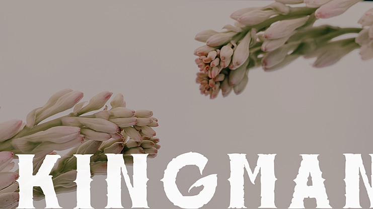 Kingman Font
