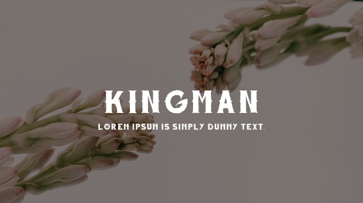 Kingman Font