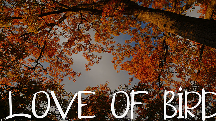 Love of Bird Font