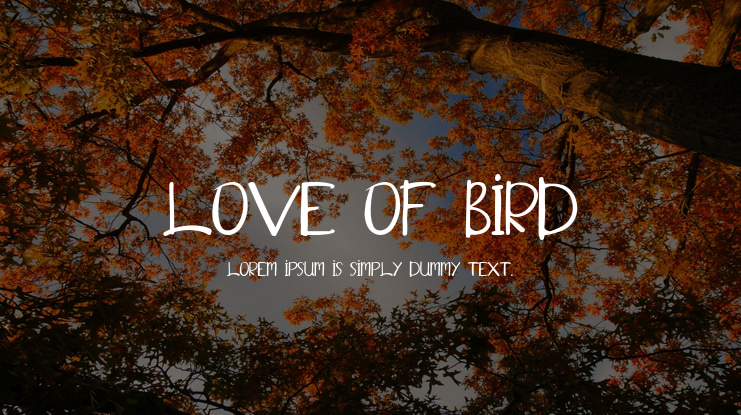 Love of Bird Font