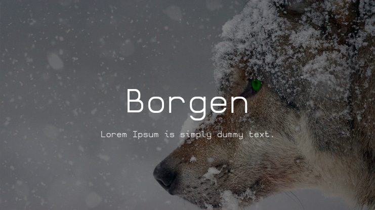 Borgen Font Family