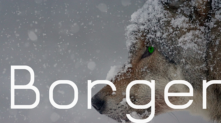 Borgen Font Family