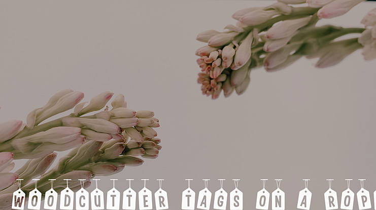 Woodcutter Tags on a Rope Font