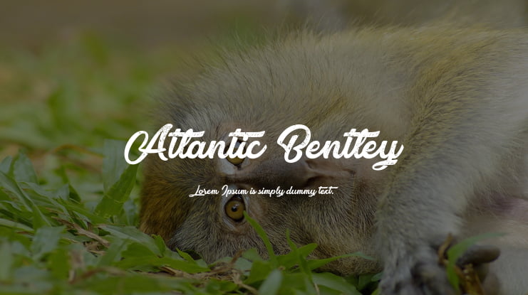 Atlantic Bentley Font